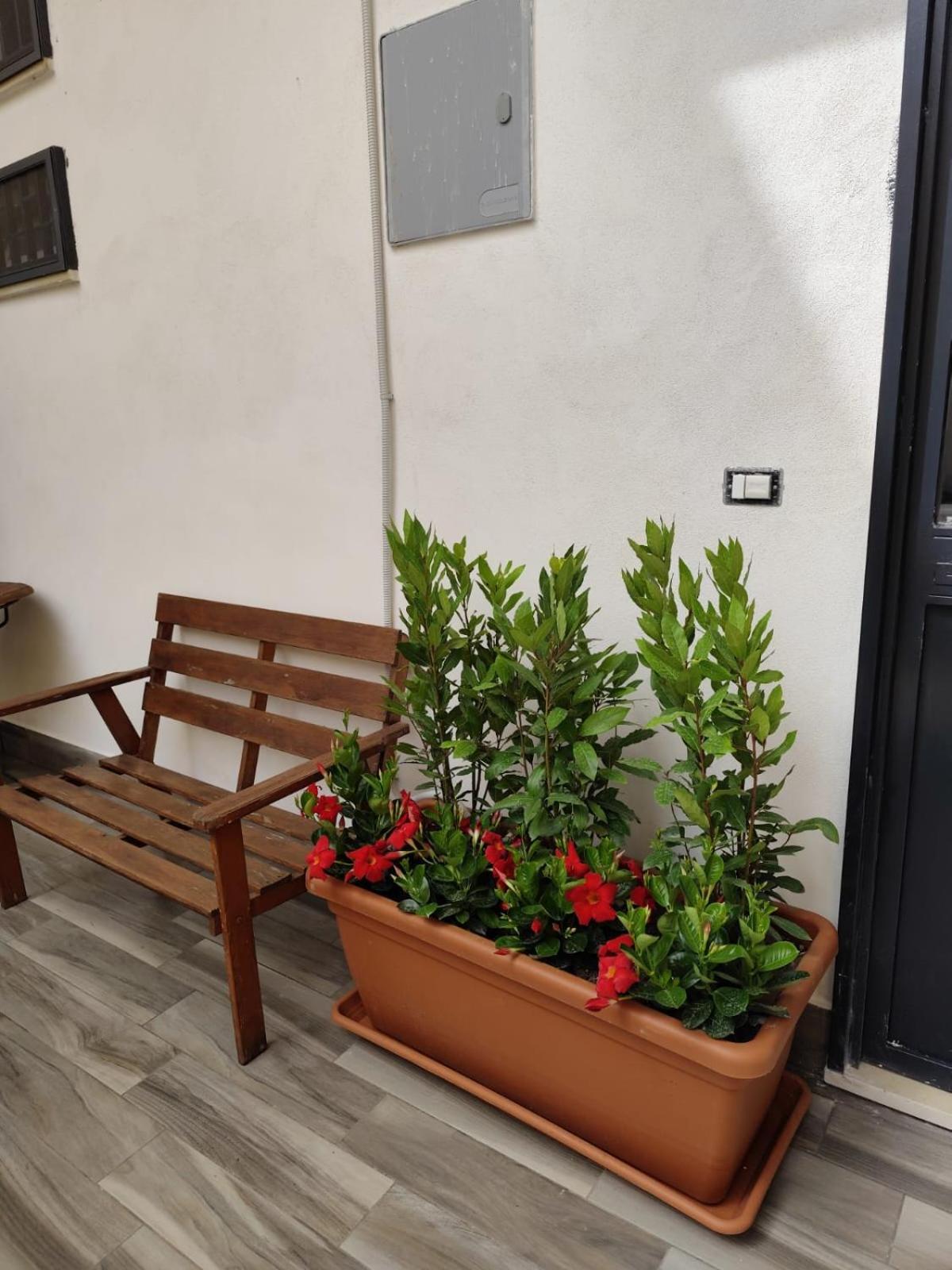 فندق Vicolo Stretto سكافاتي المظهر الخارجي الصورة